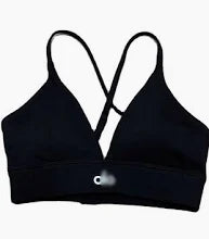 Alo Yoga Airbrush Sports Bra